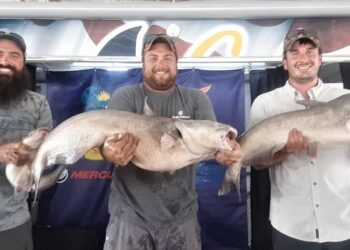 catfish, tournament, cabelas, king kat, Truman Lake, MO