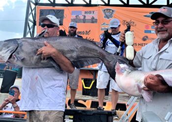 catfish, tournament, Helena, Arkansas, CatMasters, Mississippi River