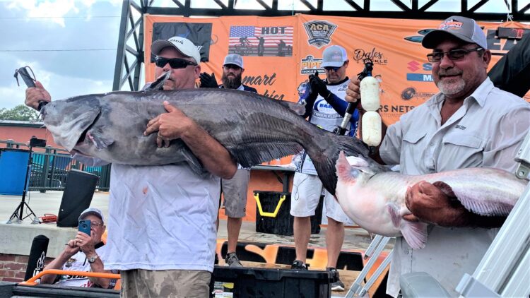 catfish, tournament, Helena, Arkansas, CatMasters, Mississippi River