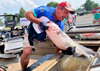 CatMasters Tournament System