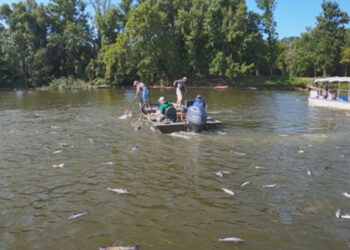 Virginia DWR Electronic Sampling of Blue Catfish