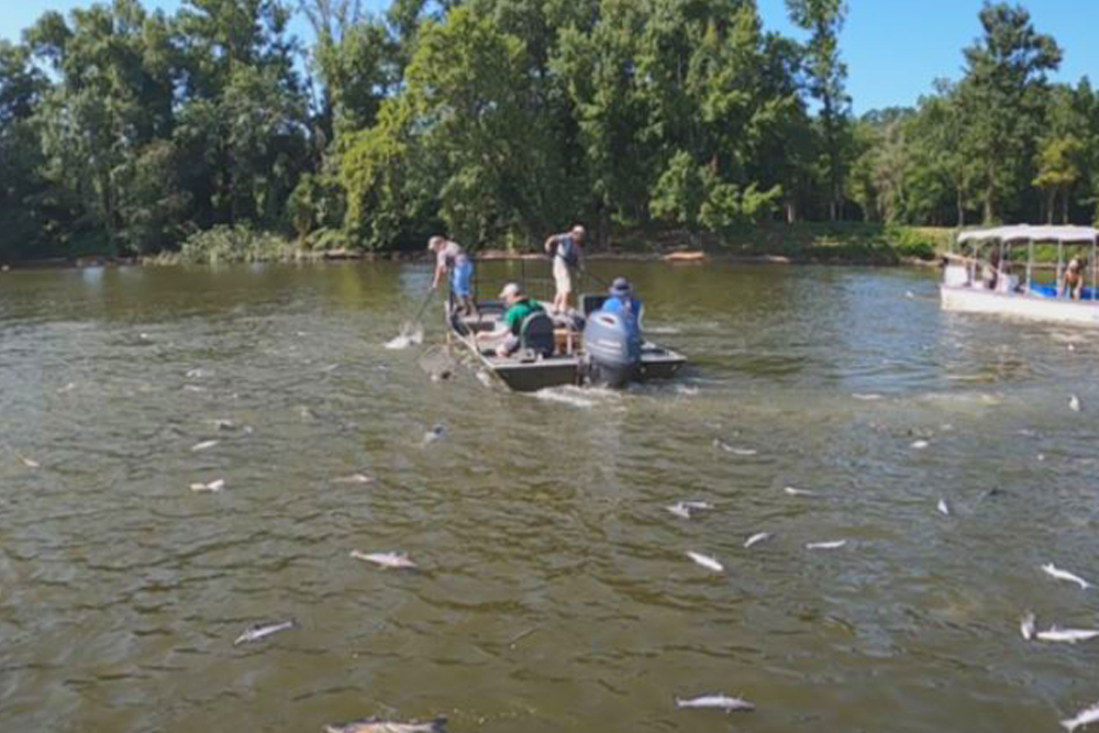 Virginia DWR Electronic Sampling of Blue Catfish