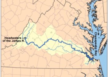 Prime Catfish Destinations: Virginia’s Tidal James River