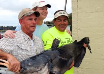 River Rumors: Everything’s Relative