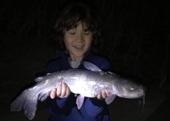 CATFISH STOCKING FOR FREE YOUTH FISHING EVENT