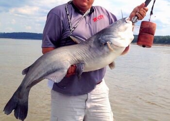 George Young Jr. – Passing it on!