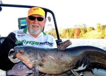 CATFISH CONSERVATION -Trophy Catfish for the Future