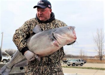 Catfish Profiles in Passion – Dave Swearingin