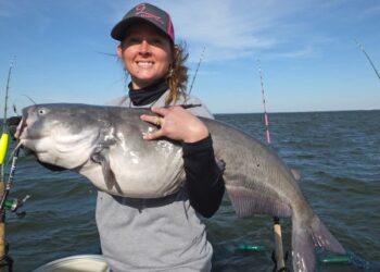 Layla Holbrook – Committed to Catfishing