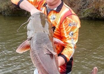 Catfish Basics #009 – Sonar/Bait Placement for Flatheads – Jay Gallop