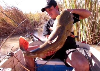 Catfish Basics #010 – Bait is Where You Find It – Kris Flores