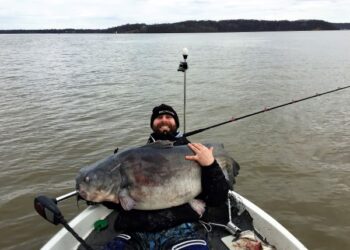 CATFISH CONSERVATION : A Catfish Record Declined
