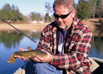 Try Ponds for Winter Channel Cats and Bullheads