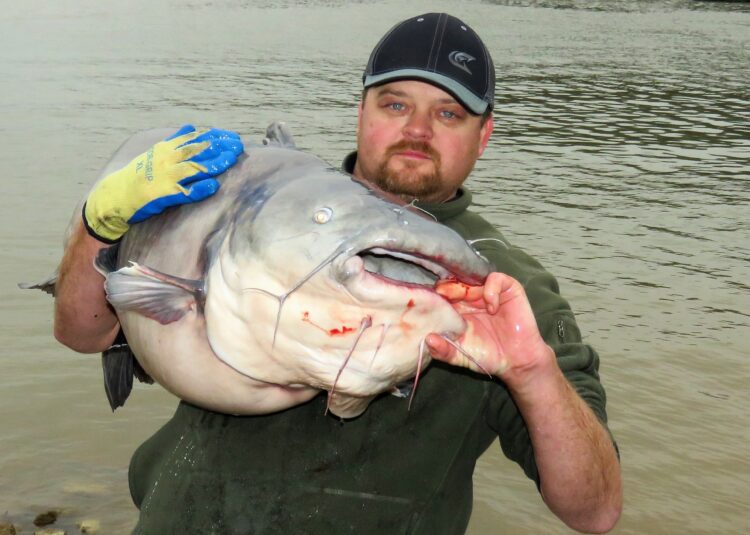Mitchell and Sexton earn 2019 Fishlife National Championship of Catfishing Title