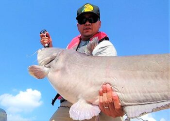 It’s all About Paying Your Dues