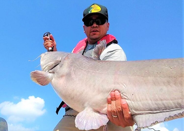 It’s all About Paying Your Dues