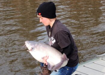 CATFISH CONSERVATION – Resuscitate! by Ron Presley