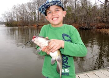 Catfish Kids: Students Encouraged to Enter State-Fish Art Contest