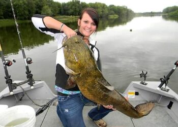 Early Season Flatheads by Ron Presley