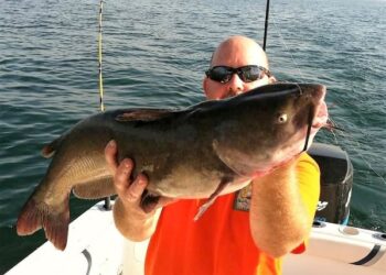 Why We Catfish: A Guest Editorial by Scott Brauer