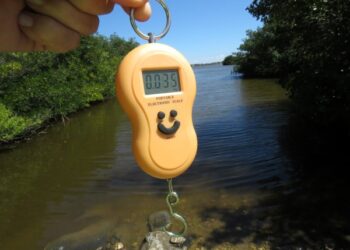 Catfish Gear #014 — Hooker’s Terminal Tackle—Portable Digital Scale