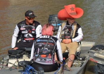 Cat Tales! Stories from life on the road