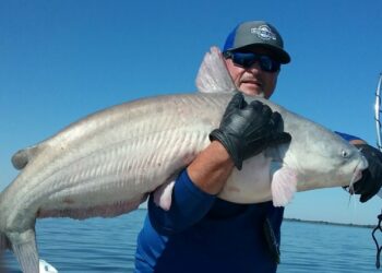 Why We Catfish: A Guest Editorial by Keith Parks