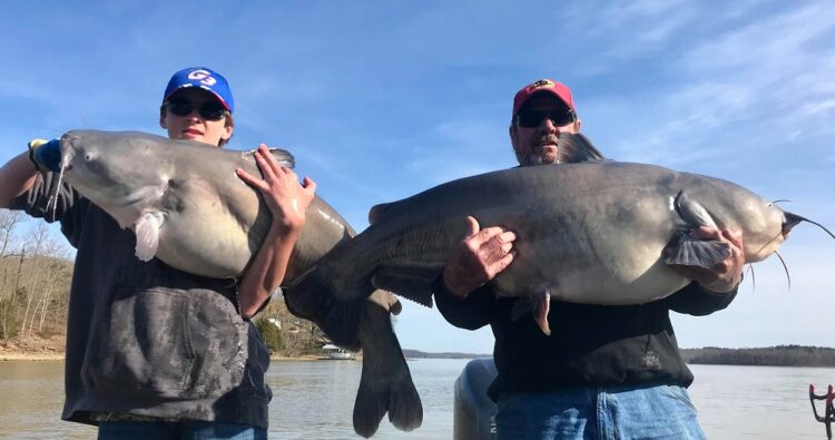 Bluegrass Catfish Bash win goes to Mitchell, Mitchell, and Sexton