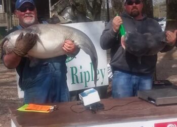 Herne and Crowder claim win at Pickwick