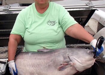 Catfish Basics #013 – Preparation Pays – Cindy Stokes