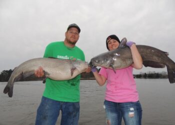 Catfish Basics #014 – New Spots – Jimmy Holbrook