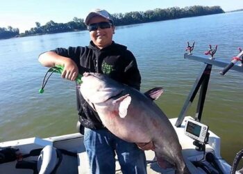 Catfish Kid – Connor King