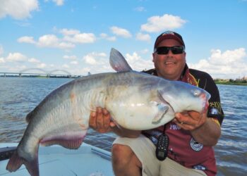 Catfish Gear #002-George Young Jr. Signature Chain Swivels from B’n’M Poles