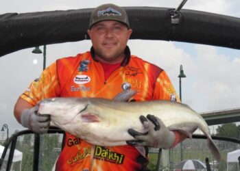 Catfish Conservation: What Individual Anglers Can Do