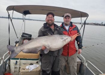 Why We Catfish: A Guest Editorial by Bradley Doyle