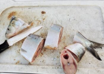 Below The Surface: Chickamauga Chase