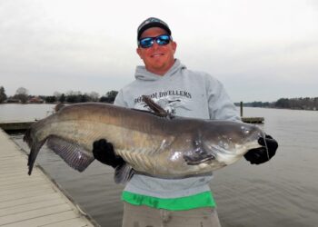 Catfish Basics #016 – Line Logic -Benji Brown