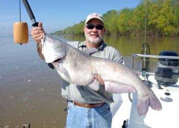 Drift-fishing: An Ideal Tactic for Summer’s Blue Catfish