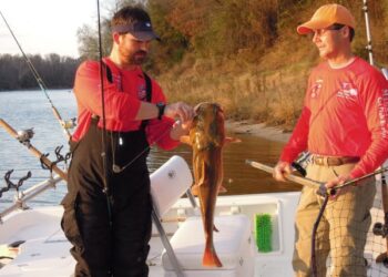 How To Finesse Finicky Flatheads in Lakes or Rivers