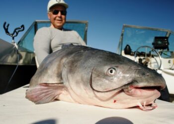 The Perfect Blend of Tactics