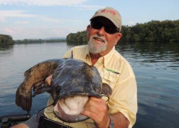 Fishing the Bite Window