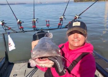 Why We Catfish: A Guest Editorial by Lisa Gail Haraway