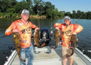 Finding Summer Flatties