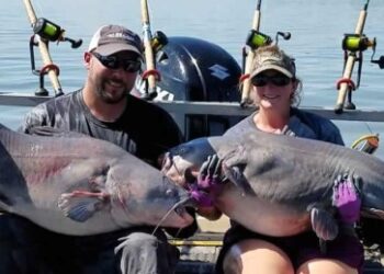 Why We Catfish: A Guest Editorial by Justin Conner and Tabitha Linville