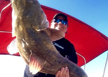 Why We Catfish: A Guest Editorial by Dieter Melhorn