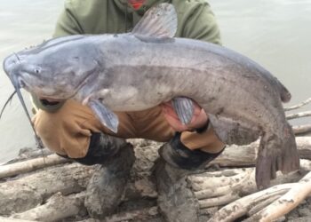 River Shoreline Secrets
