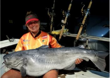 Catfish Gear #018 — Angler Driven Rods and Accessories – B’n’M Poles