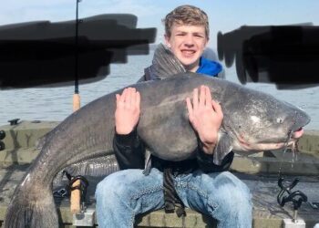 Mitchell and Sexton win Cabela’s King Kat on Wheeler