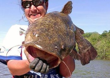 Catfish Basics #022 – Leader Size – Brandy Brooks