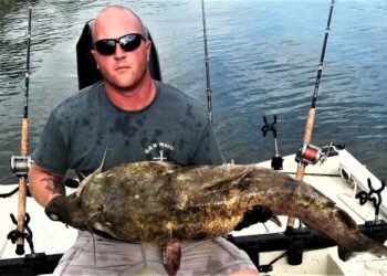 Bounding Back on River Ledges